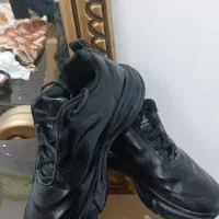 کفش اسپرت