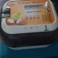 دستگاه جوجه کشی ایزیباتور ۶|لوازم جانبی حیوانات|پاکدشت, پاکدشت (مامازند)|دیوار