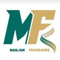 شخص ثالث و بدنه