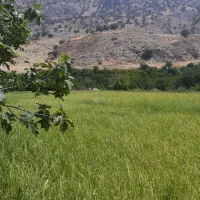 تعمیرات برقکاری ساختمان