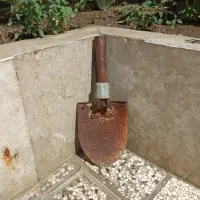 بیل ارتشی ، تاشو