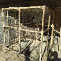 قفس|لوازم جانبی حیوانات|فاضل آباد, |دیوار