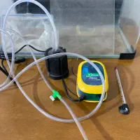 آکواریوم و لوازم|ماهی|زاهدان, |دیوار