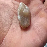 سنگ عقیق خام|کلکسیون اشیاء عتیقه|شوش, |دیوار