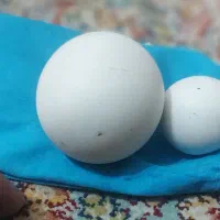 سنگ زینتی قدیمی که تو کوه پیدا کردن