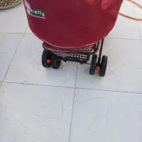 کالسکه|کالسکه و لوازم جانبی|شوشتر, |دیوار