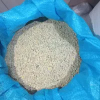 عدس امسال
