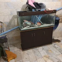 آکواریوم با تما وسایل برقی