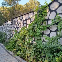 تهاتر-باغ-5هکتاری-پسته-با-ملک-در-کرج-و-تهران