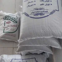 برنج درجه یک کامفیروزی