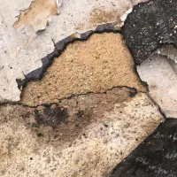 ایزوگام تعمیرات و درز گیری سطوح|خدمات پیشه و مهارت|بوشهر, |دیوار