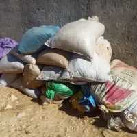 فروش کود حیوانی