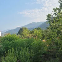 فروش زمین شهرکی|فروش زمین و ملک کلنگی|نشتارود, |دیوار