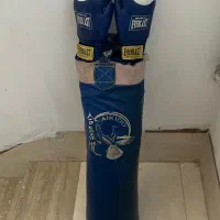کیسه بوکس و دستکش