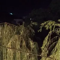 سویت اجاره دربوژان|اجارهٔ کوتاهمدت آپارتمان و سوئیت|نیشابور, فضل|دیوار