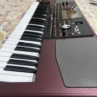 Pa1000|پیانو، کیبورد، آکاردئون|سنندج, |دیوار