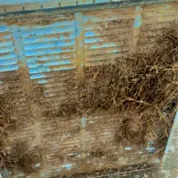 تاسیسات لوله کشی آب و فاضلاب|خدمات پیشه و مهارت|یزد, |دیوار