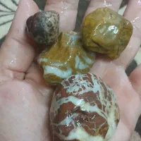 سنگ|کلکسیون اشیاء عتیقه|گتوند, |دیوار