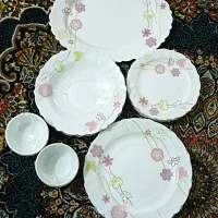 سرویس ۲۵ تیکه آرکپال