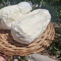 کره گاوی