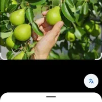 فروش انواع کود ارگانیک و آلی گیاه