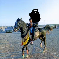 سیلمی آینده دار