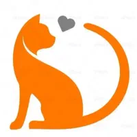 سرپرستی گربه