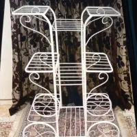 استند گل|گل و گیاه طبیعی|تهران, دانشگاه شریف|دیوار