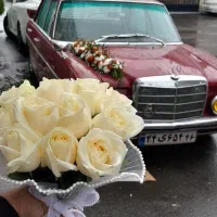 اجاره ماشین عروس .کیک و شیرینی عروسی|خدمات پذیرایی، مراسم|رشت, دیانتی|دیوار