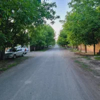 باغچه300متری-درفرخ-آباد
