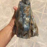 شجر|جواهرات|بیرجند, |دیوار