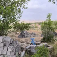 زمین باغ|فروش زمین و ملک کلنگی|بیرجند, |دیوار