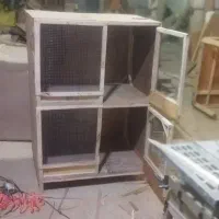 سفارش ساخت قفس پرنده و خانه سگ چوبی با طرح دلخواه|لوازم جانبی حیوانات|شیراز, امام حسین|دیوار