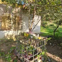 فروش ویلا جنگلی ۷۰۰متر/برا سرمایه گذاری طلاست