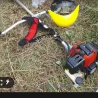 چمن زنی و وارجینا