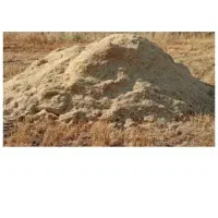 کاه جو