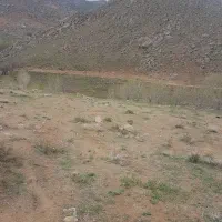 زمین کشاورزی دیم قولنامه