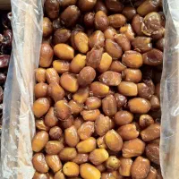 ضایعات خرما رطب زاهدی