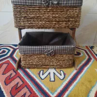 جاسیب زمینی پیاز