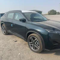 فروش دانگ فنگ فول