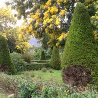 زمین  با ویو عالی