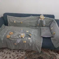 ست نوزادی خرس خاکستری برجسته