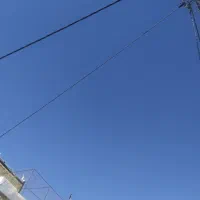 تور کبوتر میلگرد فنس مرغی ۳ طول ۲ ارتفاع