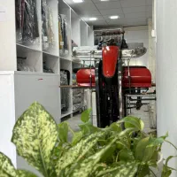 خشکشویی لیان پیک رایگان|خدمات نظافت|بوشهر, |دیوار