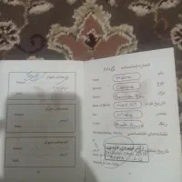 سگ ژرمن|سگ|مبارکه, |دیوار