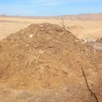 کود گوسفندی