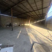 اجاره-دامداری