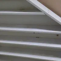 قفسه