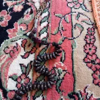 تسبیح هسته خرما|کلکسیون اشیاء عتیقه|زنجان, |دیوار