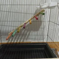 قفس بزرگ و مجهز|لوازم جانبی حیوانات|باقرشهر, |دیوار